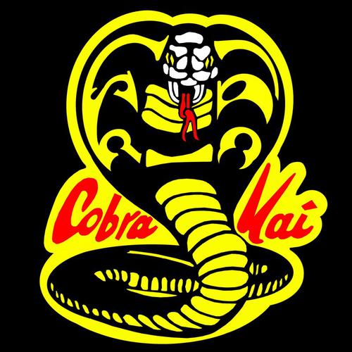 Rigor y Criterio 20 - Cobra Kai,Segunda temporada